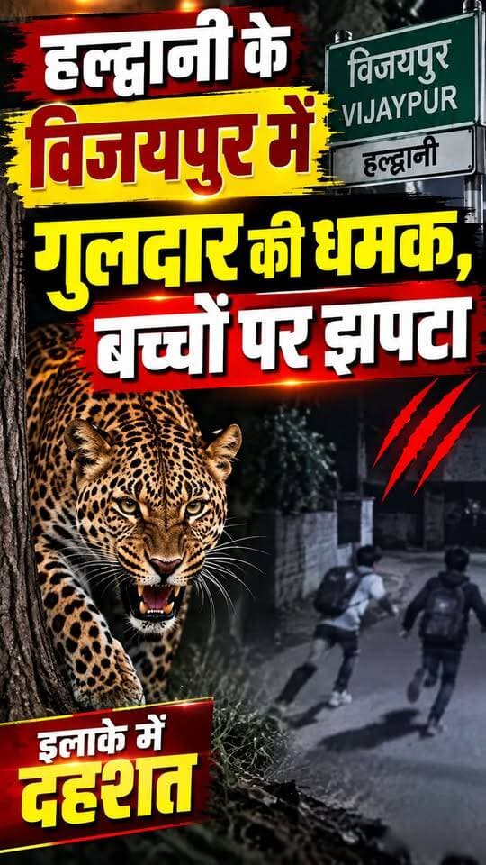 #हल्द्वानी #विजयपुर में #गुलदार की धमक, बच्चे पर झपटा।।
