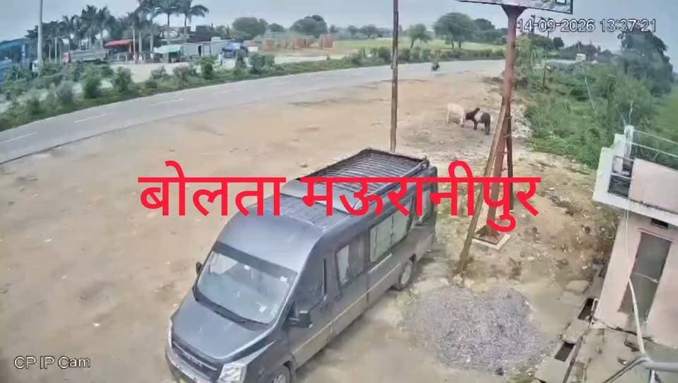 झांसी थाना चिरगांव क्षेत्र में तेज रफ्तार ट्रैक्टर युवक को कुचला दोनों पैर हुए चोटिल सी सी टी वी में घटना कैद