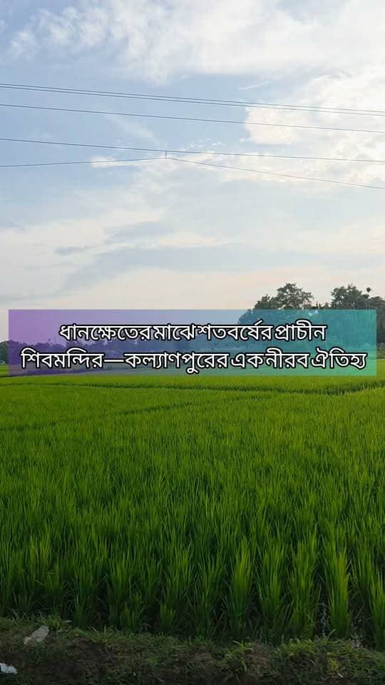 ধানক্ষেতের মাঝে শতবর্ষের প্রাচীন শিবমন্দির—কল্যাণপুরের এক নীরব ঐতিহ্য