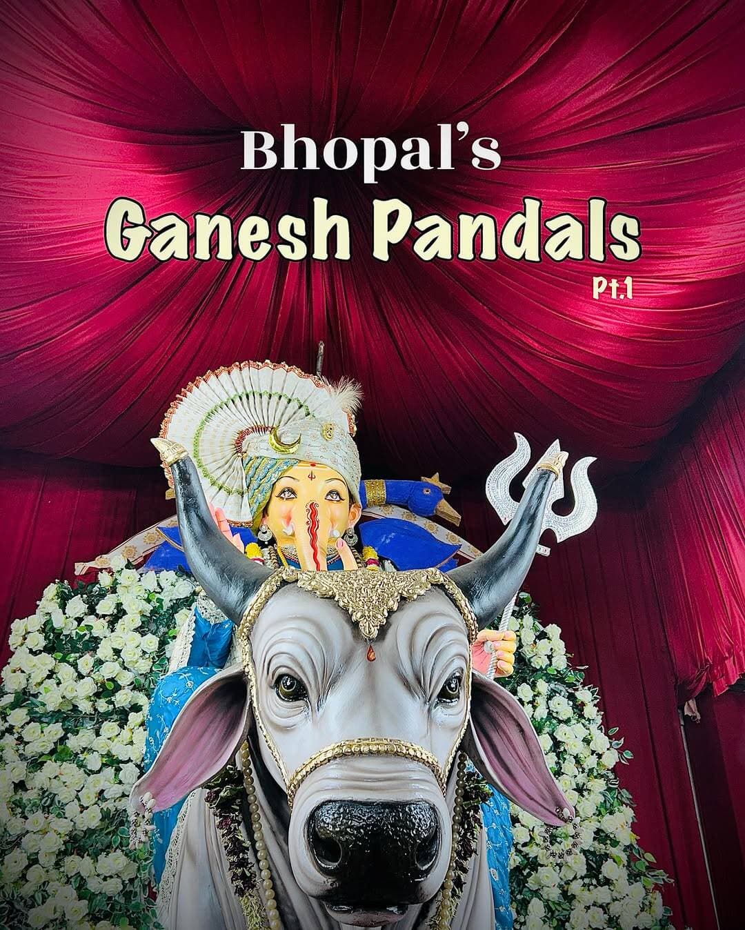 BhopalтАЩs Ganesh Pandals are one of those festive experiences we all grew up visiting. тЭдя╕ПтЬи
With Ganesh Chaturthi bringing the city alive, hereтАЩs a glimpse of some beautiful Ganesh Pandals in Bhopal through this carousel.
I know many of us are busy these days and donтАЩt always get the time to visit Ganpati Pandals in Bhopal like we used to. So, if your parents, grandparents, or anyone in your family canтАЩt visit them in person, share this carousel with them. тЭдя╕П
And if you have the time, take your family along and experience the Ganesh Utsav in Bhopal yourself. Visit these beautifully decorated pandals, seek Ganpati BappaтАЩs blessings, and create memories together.
Because sometimes, the journey matters more than the destination. тЬи
ЁЯУН Bhopal, Madhya Pradesh
ЁЯФ╕Part 1 is all about featuring maximum pandals of Kolar and Old City
ЁЯФ╕Share you Pandals Photos along with your page to get featured on Part 2
#ganeshchaturthi #ganeshutsav #bhopal #ganpatibappa bhopalganeshutsav
Bhopal Ganesh Pandals, Ganesh Pandals in Bhopal, Ganesh Chaturthi Bhopal, Ganesh Utsav Bhopal, Ganpati Pandals Bhopal, Bhopal Ganesh Festival, Ganpati Bappa Bhopal, Ganesh Darshan Bhopal, Bhopal Festival, Ganesh Chaturthi 202