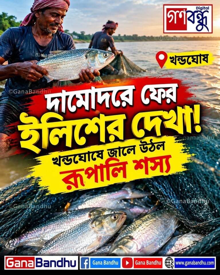 দামোদরে ফের ইলিশের দেখা! খন্ডঘোষে জালে উঠল রুপোলি শস্য
#GanaBandhu