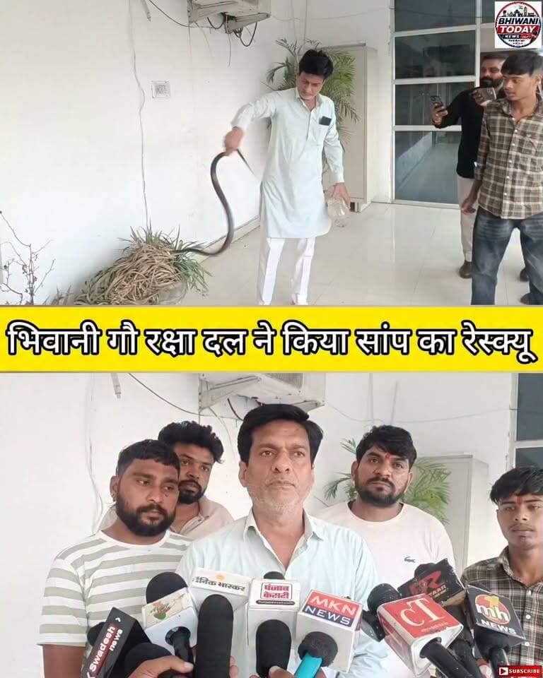 भिवानी गौ रक्षा दल ने किया सांप का रेस्क्यू #bhiwani #viral #reels #snake #trending #shorts #video
