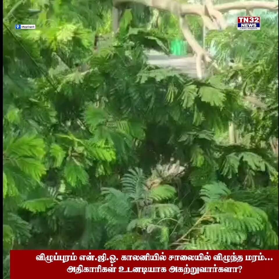 🚨 **விழுப்புரம் NGO காலனியில் சாலையில் விழுந்த மரம்!**
🌳 **அகற்றப்படாமல் கிடப்பதால் பொதுமக்கள் அவதி!**
விழுப்புரம் என்.ஜி.ஓ. காலனியில் உள்ள சர்ச் எதிரே நேற்று இரவு சாலையில் மரம் ஒன்று விழுந்துள்ளது.
ஆனால், இதுவரை அந்த மரம் அகற்றப்படாமல் சாலையிலேயே கிடப்பதால், அந்த வழியாக செல்லும் பொதுமக்கள் மற்றும் வாகன ஓட்டிகள் மரத்தை சுற்றிக்கொண்டு செல்லும் நிலை ஏற்பட்டுள்ளது.
இதனால் போக்குவரத்துக்கும் இடையூறு ஏற்பட்டு வருகிறது.
👉 **சம்பந்தப்பட்ட அதிகாரிகள் உடனடியாக நடவடிக்கை எடுத்து, சாலையில் விழுந்துள்ள மரத்தை அகற்ற வேண்டும் என பொதுமக்கள் கோரிக்கை விடுத்துள்ளனர்.**
📍 **இடம்: விழுப்புரம் – என்.ஜி.ஓ. காலனி**
#விழுப்புரம் #NGOகாலனி #Villupuram #சாலையில்_விழுந்த_மரம் #பொதுமக்கள்_அவதி #போக்குவரத்து #TN32NEWS #VillupuramNews