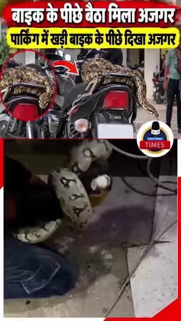 फर्रुखाबाद ब्रेकिंग बाइक के पीछे बैठा मिला अजगर पार्किंग में खड़ी बाइक के पीछे दिखा