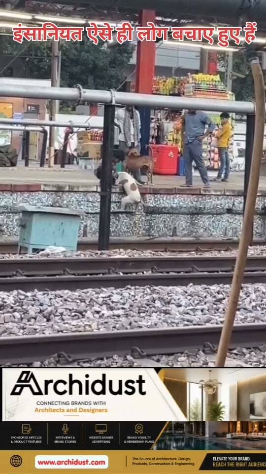 इंसानियत और प्रेम बेजुबान और मासूमों में ही देखने को मिलता है