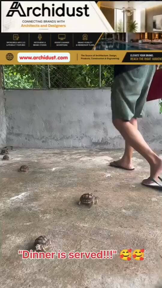 "Dinner is served!!!" 🥰🥰