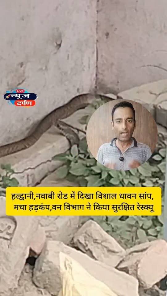 हल्द्वानी,नवाबी रोड में दिखा विशाल धावन सांप,🚨मचा ह*ड़कंप… वन विभाग ने किया सुरक्षित रेस्क्यू...
#haldwanicity #haldwaninews #ratsnake🐍