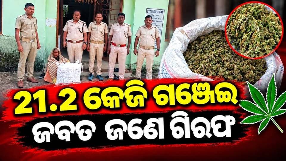 ୨୧.୨ କେଜି ଗଞ୍ଜେଇ ଜବତ; ଜଣେ ଗିରଫ
#BoudhNews #ExciseDepartment #GanjaSeized #DrugSeizure #OdishaNews