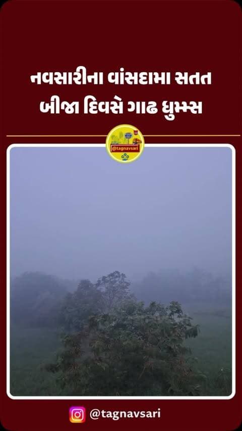 નવસારીના વાંસદામાં નયનરમ્ય દ્રશ્યો
#navsari #navsarinews #tagnavsari #gujaratnews