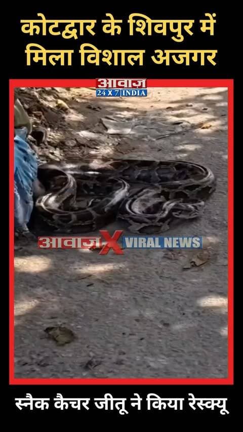 कोटद्वार के शिवपुर में मिला विशाल अजगर, स्नैक कैचर जीतू ने किया रेस्क्यू
#AwaazIndiaNational #Uttarakhand #Kotdwar #Shivpur #GiantPython #Python #Rescue #Jeetu #ViralVideo #TrendingReels