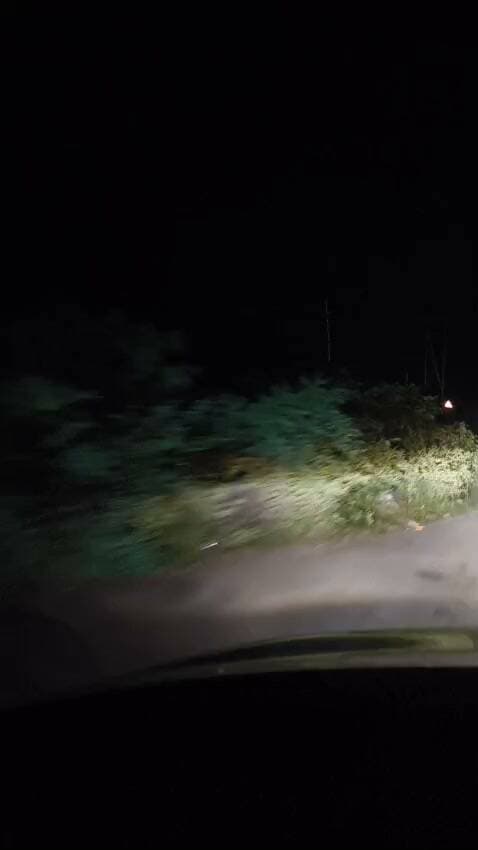 मलेथा-टिहरी मार्ग पर बेखौफ घूम रहा गुलदार, राहगीरों में दहशत
मलेथा। मलेथा से ऊपर टिहरी गढ़वाल की ओर जाने वाली सड़क पर गुलदार के दिखाई देने से क्षेत्र में दहशत का माहौल है। बताया जा रहा है कि गुलदार सड़क के आसपास बेखौफ घूमता नजर आया, जिससे इस मार्ग से गुजरने वाले राहगीरों और वाहन चालकों में चिंता बढ़ गई है।
स्थानीय लोगों ने वन विभाग से मामले का संज्ञान लेते हुए क्षेत्र में गश्त बढ़ाने और गुलदार की गतिविधियों पर नजर रखने की मांग की है। लोगों से भी अपील की गई है कि वे विशेषकर रात के समय इस मार्ग पर सतर्कता बरतें और गुलदार दिखाई देने पर उसके करीब जाने की कोशिश न करें।
स्थानीय लोगों का कहना है कि वन विभाग को जल्द आवश्यक कदम उठाने चाहिए, ताकि किसी अप्रिय घटना को रोका जा सके।