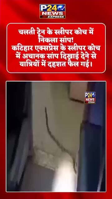 चलती ट्रेन के स्लीपर कोच में निकला सांप! #KatiharExpress #SnakeInTrain #ViralVideo #P24NewsExpress