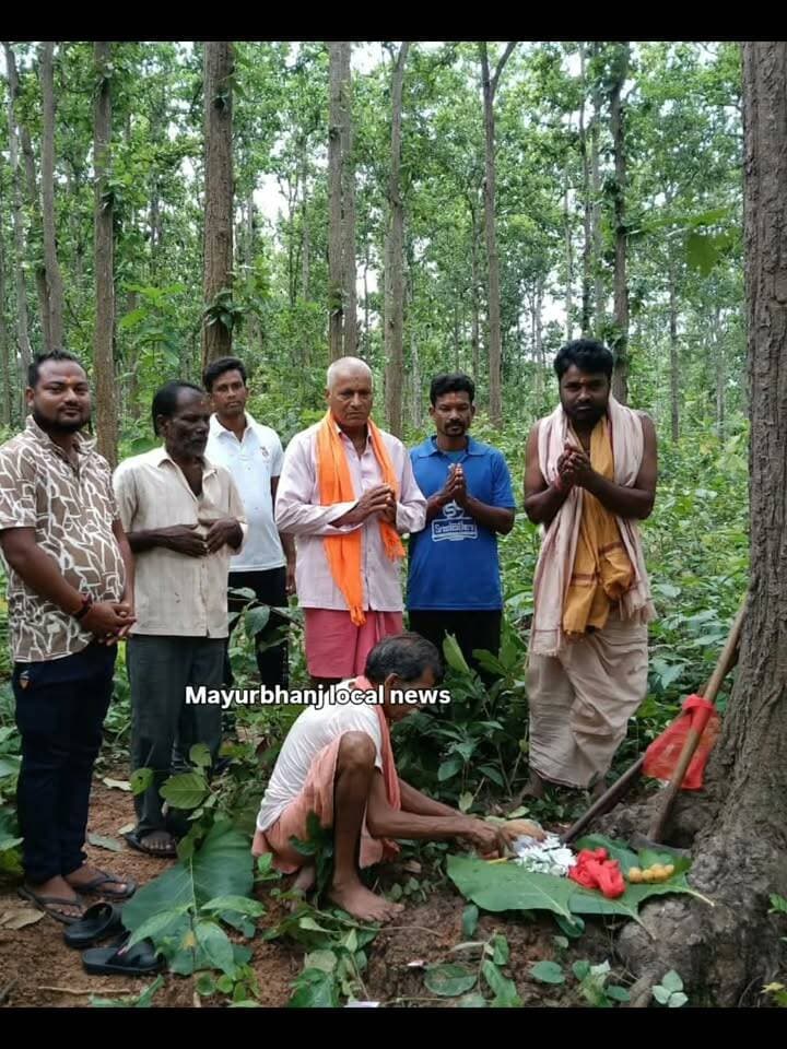 #ଇନ୍ଦୋ_ପର୍ବ_ପାଇଁ_ଜଙ୍ଗଲରୁ_ଆସିଲା_କାଠ....
ଆଗକୁ ଥିବା ଇନ୍ଦୋ ପର୍ବ ପାଇଁ ବାରିପଦାର ଦ୍ୱିତୀୟ ଶ୍ରୀକ୍ଷେତ୍ର ଶ୍ରୀ ଶ୍ରୀ ହରିବଳଦେବ ଜୀଉଙ୍କ ମନ୍ଦିର ପରିସରରେ ପ୍ରସ୍ତୁତି ଆରମ୍ଭ ହୋଇଯାଇଛି।ମୟୂରଭଞ୍ଜ ଜିଲ୍ଲାପାଳଙ୍କ ନିର୍ଦ୍ଦେଶକ୍ରମେ ଦେବୋତ୍ତର ବିଭାଗ ପକ୍ଷରୁ ରବିବାର ଇନ୍ଦୋ ପର୍ବର ଆବଶ୍ୟକତା ପାଇଁ ଜଙ୍ଗଲରୁ କାଠ ଅଣାଯାଇ ମନ୍ଦିର ନିକଟରେ ପହଞ୍ଚାଯାଇଛି। ଦେବୋତ୍ତର ବିଭାଗର ଛାଟିଆ ଶ୍ରୀ ମୁଚିରାମ ଙ୍କ ତତ୍ୱାବଧାନ ରେ ଜଙ୍ଗଲରୁ କାଠ ଅଣାଯାଇଥିଲା। ଉକ୍ତ କାର୍ଯ୍ୟ ସମୟରେ ବନ ବିଭାଗର କର୍ମଚାରୀ ମାନେ ମଧ୍ୟ ସାଙ୍ଗରେ ଉପସ୍ଥିତ ଥିଲେ। କାଠ ଅଣାଯିବା ଓ ଆବଶ୍ୟକ କାର୍ଯ୍ୟ ସମ୍ପାଦନରେ ରଥ ମହାରଣା ଆଲୋକନାଥ ମହାରଣା, କ୍ଷିତିଶ ମହାରଣା, ରବୀନ୍ଦ୍ର ମହାରଣା, ହରିଶ ମହାରଣା, ହରିମୋହନ ମହାରଣା ଓ ଶମ୍ଭୁନାଥ ରଣାଙ୍କ ସମେତ ସ୍ଥାନୀୟ ବାସିନ୍ଦାମାନେ ସହଯୋଗ କରିଥିଲେ। ଇନ୍ଦୋ ପର୍ବର ପାରମ୍ପରିକ ରୀତିନୀତି ଓ ଆବଶ୍ୟକ ପ୍ରସ୍ତୁତିକୁ ଦୃଷ୍ଟିରେ ରଖି କାଠ ପହଞ୍ଚିବା ପରେ ମନ୍ଦିର ପକ୍ଷରୁ ପରବର୍ତ୍ତୀ ପ୍ରସ୍ତୁତି ଆରମ୍ଭ ହେବ।।।।।।
#Mayurbhanj #Baripada