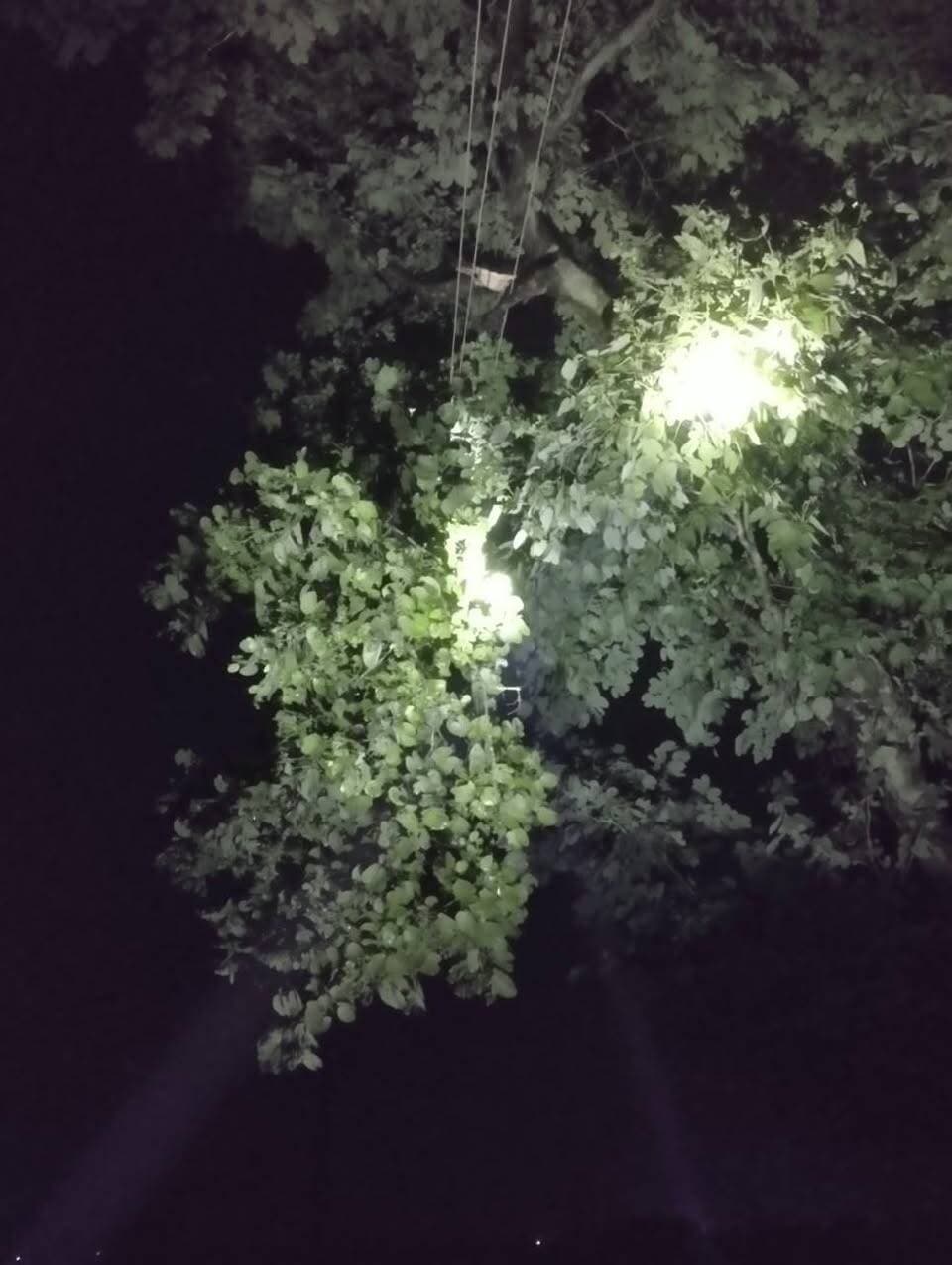 बिजली फोल्ड करने में बरसात के महीने में सबसे अधिक बस के नए जनरेशन की वजह से होती है.