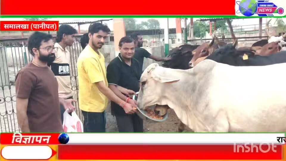 विधायक मनमोहन भड़ाना के जन्मदिन पर उनके समर्थकों ने गाँव सनौली खुर्द गोशाला में गायों को चारा, गुड़ खिलाया ओर लड्डू बांट कर खुशी मनाई। समाजसेवी सचिन गर्ग।