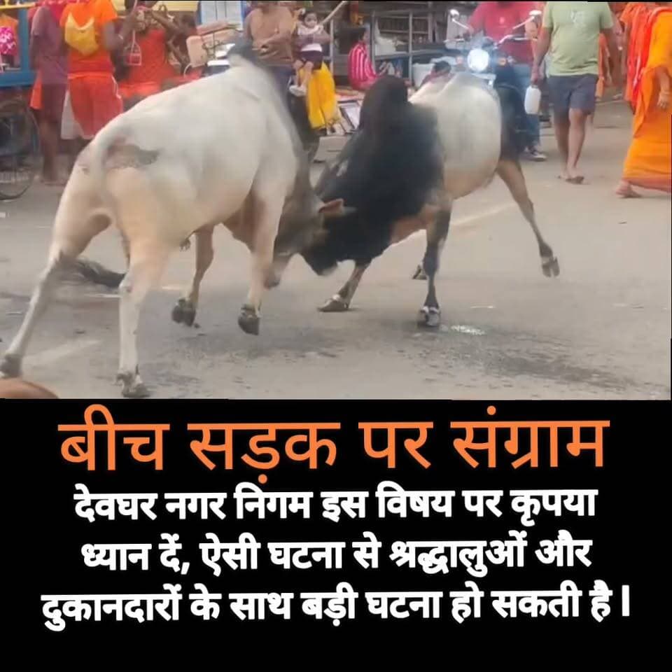 देवघर नगर निगम कृपया ध्यान दें: देवघर नगर निगम इस विषय पर कृपया ध्यान दें, ऐसी घटना से श्रद्धालुओं और दुकानदारों के साथ बड़ी घटना हो सकती है l