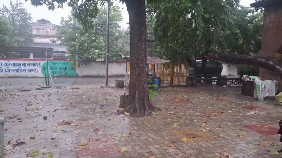 मुजफ्फरपुर मे झमाझम बारिश से बदला मौसम का मिजाज, तेज आंधी से कई जगह टूट कर गिड़ी पेड़ की डालिया।