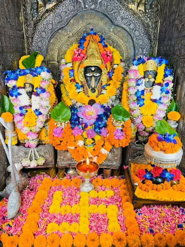 ॐ ह्लीं बगलामुखि सर्वदुष्टानां वाचं मुखं पदं स्तम्भय जिह्वां कीलय बुद्धिं विनाशय ह्रीं ॐ स्वाहा । #jaimatadi #GodsPlan #Godisfaithful #loveyourselfalways
