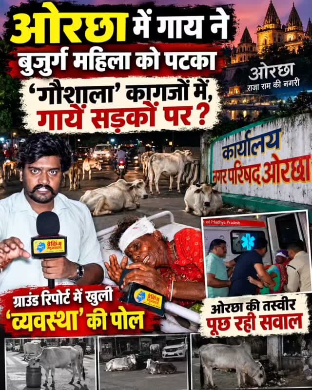 क्या हादसे के बाद जागेगा निवाड़ी प्रशासन? ओरछा की सड़कों पर कदम-कदम पर गौवंश...सांड के हमले से घायल हुई बुजुर्ग महिला, ग्राउंड रिपोर्ट में खुली ‘व्यवस्था’ की पोल... देखें! खबर
CM Madhya Pradesh Jansampark Madhya Pradesh Dr Mohan Yadav Collector Office Niwari PRO Jansampark Niwari | #breakingnewswala #MPNews #Niwari #OrchhaNews