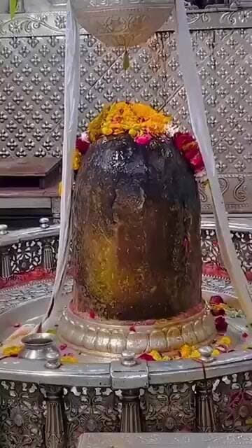 mere bholenath #bholenath #mahadev #mahakal #shorts