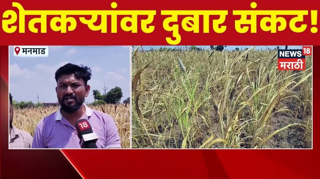 Nashik Manmad Crop Loss News | рдкрд╛рд╡рд╕рд╛рдиреЗ рдкрд╛рда рдлрд┐рд░рд╡рд▓реА! рдирд╛рд╢рд┐рдХрдордзреНрдпреЗ рдЦрд░реАрдк рд╣рдВрдЧрд╛рдо рдзреЛрдХреНрдпрд╛рдд