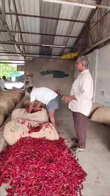 #టాప్ గన్ ఢిలక్స్ 25000 #subscribe #chilli #trendingshorts