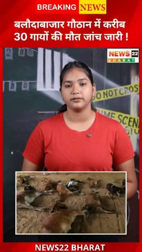 बलौदाबाजार के सूरजपुरा गांव के गौठान में करीब 30 गायों की मौत की जानकारी सामने आई है। एक साथ इतनी संख्या में मौत के बाद इलाके में चिंता का माहौल है। फिलहाल मौत की वजह स्पष्ट नहीं है और मामले की जांच जारी है।
#Balodabazar #CGNews #ChhattisgarhNews #GauThan #CowDeath BalodabazarNews Chhattisgarh BreakingNews