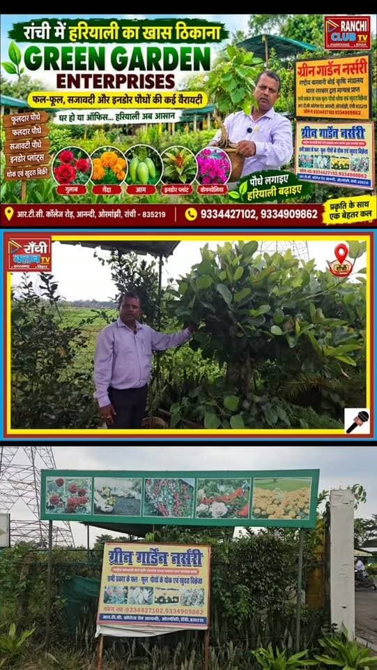 40 साल पुराना Bonsai ! कीमत ₹2 लाख ! Green Garden Enterprises Ranchi
#Bonsai #BonsaiPlant #40YearOldBonsai #BonsaiRanchi #Ranchi