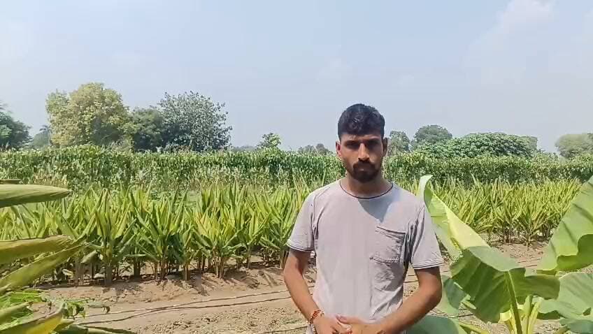 Aonenews अरविन्द बक्शी
सेवा संकल्प अभियान' : ' सेवा की कहानी'*
*प्राकृतिक एवं जैविक खेती अपनाकर आत्मनिर्भरता की ओर बढ़ रहे किसान बलराम
विविध फसलों की खेती से बढ़ी आमदनी और आत्मनिर्भरता
बागवानी विभाग की तकनीकी सहायता से खेती को मिला नया आयाम
सरकार की योजना के तहत लहसुन व मशरूम उत्पादन पर मिल रहा अनुदान
आधुनिक तकनीकों को अपनाकर खेती को बनाया अधिक सुचारू
सरकार एवं बागवानी विभाग की योजनाओं का लाभ उठाकर आगे बढ़ रहे किसान
जिला पलवल के गांव कुलैना निवासी किसान बलराम पुत्र हरिचंद पिछले कई वर्षों से जैविक एवं प्राकृतिक खेती के माध्यम से बागवानी के क्षेत्र में उल्लेखनीय कार्य कर रहे हैं। उन्होंने खेती में विविधता को अपनाते हुए विभिन्न प्रकार के मसाले, सब्जियां, दालें तथा बागवानी पौधे लगाए हुए हैं। प्राकृतिक एवं जैविक खेती के प्रति उनकी रुचि ने उन्हें पारंपरिक खेती के साथ-साथ बागवानी के क्षेत्र में भी आगे बढ़ने के लिए प्रेरित किया है।#
किसान बलराम ने बताया कि सरकार एवं बागवानी विभाग की ओर से समय-समय पर उन्हें आवश्यक तकनीकी मार्गदर्शन और सहायता उपलब्ध करवाई जाती है। विभाग द्वारा किसानों को आधुनिक बागवानी तकनीकों की जानकारी देने के साथ-साथ विभिन्न योजनाओं के माध्यम से प्रोत्साहित किया जा रहा है। इन सुविधाओं का लाभ उठाकर उन्होंने अपनी खेती को अधिक व्यवस्थित एवं सुचारू बनाने का प्रयास किया है।
बलराम ने बताया कि बागवानी को बढ़ावा देने के लिए खेत में विभिन्न गतिविधियां अपनाई जा रही हैं। इसके अलावा मशरूम हट जैसी सुविधाओं का भी लाभ लिया जा रहा है। लहसुन की खेती तथा मशरूम उत्पादन के लिए विभागीय योजनाओं के तहत अनुदान भी प्राप्त हो रहा है। किसान के अनुसार, लहसुन की खेती के लिए 30 हजार रुपये तथा मशरूम उत्पादन के लिए 22,500 रुपये तक का अनुदान प्राप्त हुआ है, जिससे उत्पादन गतिविधियों को आगे बढ़ाने में सहायता मिली है।
बलराम ने कहा कि सरकार की योजनाओं और बागवानी विभाग के तकनीकी सहयोग से किसानों को खेती में नई तकनीक अपनाने तथा अपनी आय के स्रोतों में विविधता लाने का अवसर मिल रहा है। उन्होंने बताया कि विभाग से मिलने वाली सहायता के माध्यम से वे जैविक एवं प्राकृतिक खेती को निरंतर आगे बढ़ा रहे हैं।
उन्होंने अन्य किसानों से भी आह्वान किया कि वे सरकार एवं बागवानी विभाग की किसान हितैषी योजनाओं की जानकारी प्राप्त कर उनका लाभ उठाएं तथा आधुनिक एवं प्राकृतिक खेती की तकनीकों को अपनाकर अपनी कृषि गतिविधियों को मजबूत बनाएं।
किसान बलराम ने किसानों को प्रोत्साहन देने और बागवानी क्षेत्र को बढ़ावा देने के लिए सरकार, जिला प्रशासन पलवल एवं बागवानी विभाग का धन्यवाद व्यक्त किया।
#SevaSankalp
#palwal
