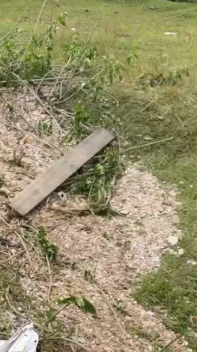 अवैध माइका लदा 407 पिकअप कोयला लदे ट्रक से टकराया, दोनों वाहनों के उड़े परखच्चे
जमुआ थाना क्षेत्र के जमुआ-पचंबा मुख्य मार्ग पर अरवाटांड़ के पास हुई बड़ा हादसा।