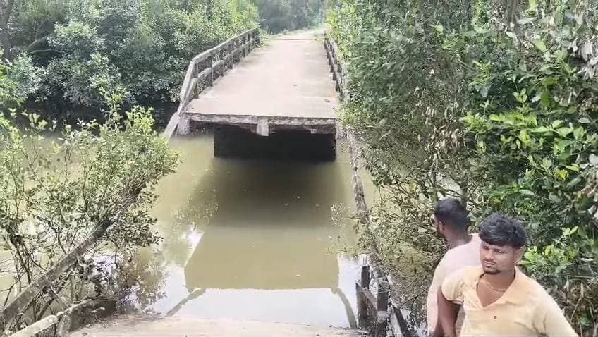 *৩২ লক্ষ টাকার কংক্রিটের সেতু হুড়মুড়িয়ে ভাঙল মাত্র ৫ বছরেই, পাথরপ্রতিমার কালু নদীতে কলাগাছের মান্দাসই এখন ভরসা*
অমিত মণ্ডল, পাথরপ্রতিমা:
সরকারি টাকায় তৈরি কংক্রিটের সেতু টিকল মাত্র পাঁচ বছর! রবিবার আচমকাই হুড়মুড়িয়ে ভেঙে পড়ল কালু নদীর ওপর তৈরি একটি গুরুত্বপূর্ণ সেতু। আর এই সেতু বিপর্যয়ের জেরেই কার্যত বিচ্ছিন্ন হয়ে পড়েছে দক্ষিণ ২৪ পরগনার পাথরপ্রতিমা ব্লকের বিস্তীর্ণ এলাকা। নিম্নমানের সামগ্রী দিয়ে সেতু তৈরির অভিযোগ তুলে এদিন বিক্ষোভে ফেটে পড়েন স্থানীয় বাসিন্দারা। এখন নদী পারাপারে তাঁদের একমাত্র ভরসা কলাগাছের তৈরি মান্দাস বা ভেলা!
পাথরপ্রতিমা ব্লকের দক্ষিণ গঙ্গাধরপুর গ্রাম পঞ্চায়েতের আবাদ গঙ্গাধরপুর গ্রামের সঙ্গে শ্রীনারায়ণপুর-পূর্ণচন্দ্রপুর গ্রাম পঞ্চায়েতের যোগাযোগের অন্যতম প্রধান মাধ্যম ছিল কালু নদীর ওপর থাকা এই সেতুটি।
সেতু ভেঙে পড়ায় স্কুল পড়ুয়া থেকে শুরু করে অসুস্থ রোগী,চরম বিপাকে পড়েছেন সকলেই। গদামথুরা প্রাথমিক স্বাস্থ্যকেন্দ্র, রামগঙ্গা বিডিও অফিস-সহ বিভিন্ন গুরুত্বপূর্ণ জায়গায় পৌঁছনোর রাস্তা কার্যত বন্ধ। ঝুঁকি নিয়ে কলাগাছের ভেলা তৈরি করে নদী পার হচ্ছেন মানুষ।
স্থানীয়দের অভিযোগ, প্রায় পাঁচ বছর আগে ৩২ লক্ষ টাকা ব্যয়ে এই সেতুটি নির্মাণ করা হয়েছিল। সেতুটি তৈরি হওয়ার সময় নিম্নমানের সামগ্রী ব্যবহারের অভিযোগ উঠেছিল। এমনকি একবার সেতুটি বসে গেলে কয়েকটি সরু রড দিয়ে কোনোমতে ফের ঢালাই করে দেওয়া হয় বলে অভিযোগ স্থানীয়দের। প্রতিবাদ করতে গেলে স্থানীয়দের ভয় দেখানো এবং পুলিশে দেওয়ার হুমকিও দেওয়া হয়েছিল বলে অভিযোগ।
রবিবার সকালে ভেঙে পড়া সেতুর বিক্ষোভ দেখান স্থানীয়রা। বর্তমান পালাবদল সরকারের কাছে তাঁদের দাবি, অবিলম্বে সেতুটি পুনর্নির্মাণ করতে হবে এবং দুর্নীতির সঙ্গে যুক্ত দোষীদের কঠোর শাস্তি দিতে হবে।
এ বিষয়ে সুন্দরবন বিষয়ক প্রতিমন্ত্রী দীপঙ্কর জানা বলেন, "খুব দ্রুত এই সেতুটি সংস্কার বা পুনর্নির্মাণের কাজ শুরু করা হবে। সাধারণ মানুষের দুর্ভোগ মেটানোই আমাদের প্রথম লক্ষ্য। এর পাশাপাশি, বিগত দিনে যারা এই সেতু নির্মাণে দুর্নীতির সঙ্গে যুক্ত ছিল, উপযুক্ত তদন্ত করে তাদের বিরুদ্ধে কড়া শাস্তির ব্যবস্থা করা হবে।"