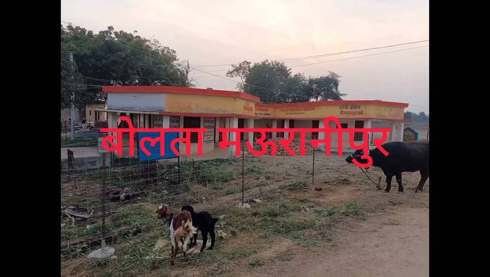 मऊरानीपुर ब्लॉक के अंतर्गत आने वाले ग्राम लारौनी में सचिवालय की सुरक्षा सचिवालय के बाहर बंधी भेस और बकरी कर रही अंदर गंदगी का अंबार
