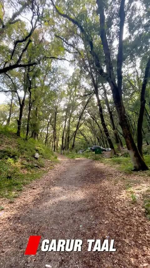 How many people know this place
#haldwaniofficial #haldwani #nainital #sattal