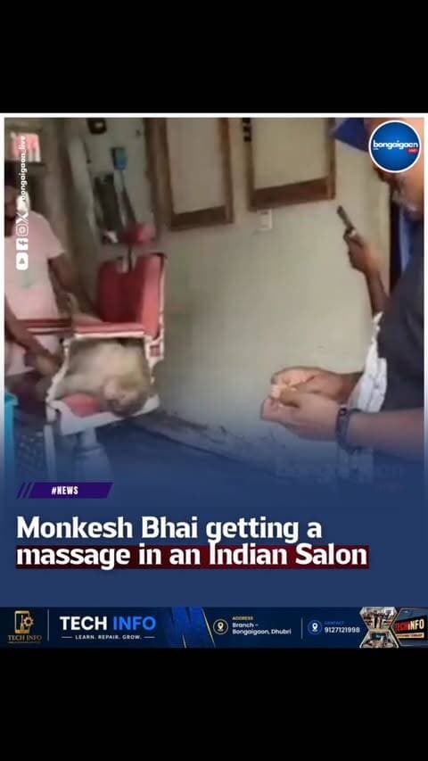 Monkesh bhai is enjoying his massage time.