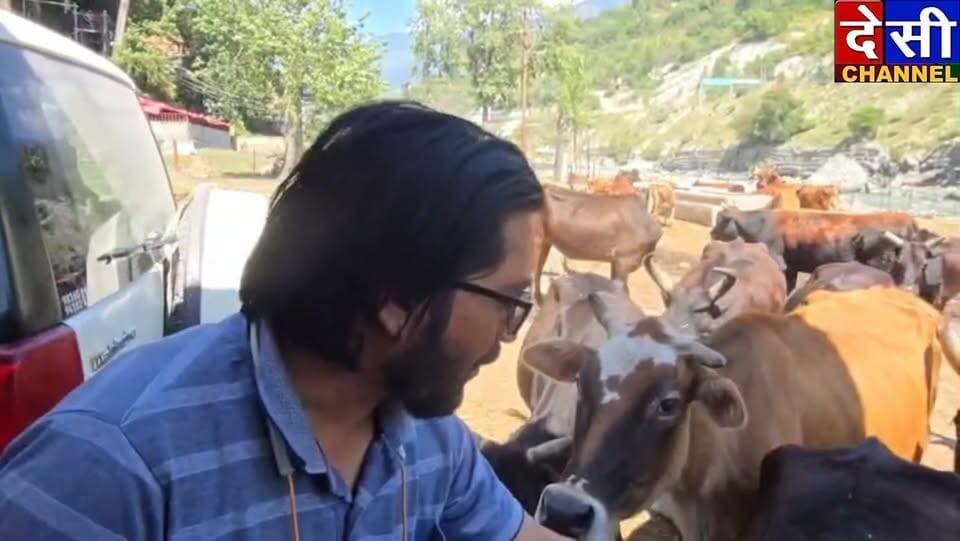 मौहल के समाजसेवी सोनू ने बेजुबानों के लिए दान की दर्जनों क्रेट सब्जियां व फल
मौहल के समाजसेवी सोनू ने गौ सेवा रक्षादल की टीम के माध्यम से गौधन के लिए दर्जनों क्रेट सब्जियां और फल-फ्रूट दान किए। समाजसेवी सोनू का बेजुबानों की सेवा में हमेशा सराहनीय योगदान रहता है।
गौ सेवा रक्षादल के अध्यक्ष शेरा नेगी ने इस पुनीत कार्य के लिए समाजसेवी सोनू का आभार व्यक्त किया।
देसी चैनल कुल्लूदेसी चैनल देवभूमि कुल्लूदेसी चैनल कुल्लूShera negi