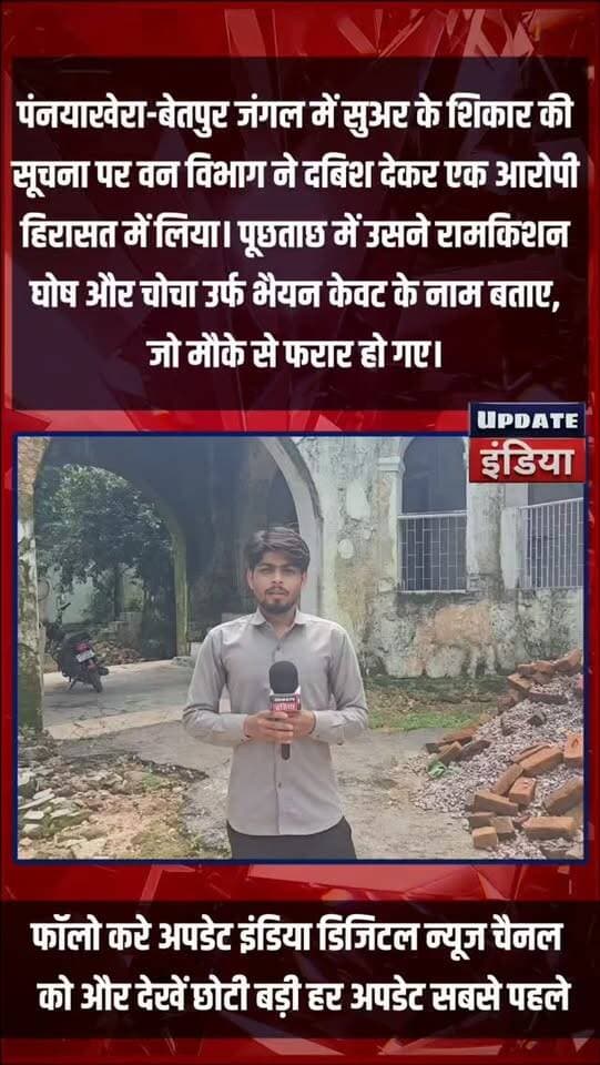 जंगल में सुअर के शिकार से मचा हड़कंप, वन विभाग की दबिश में एक शिकारी गिरफ्तार; दो फरार.. #news #bigbreaking #mpnews #tikamgarh #वनविभाग