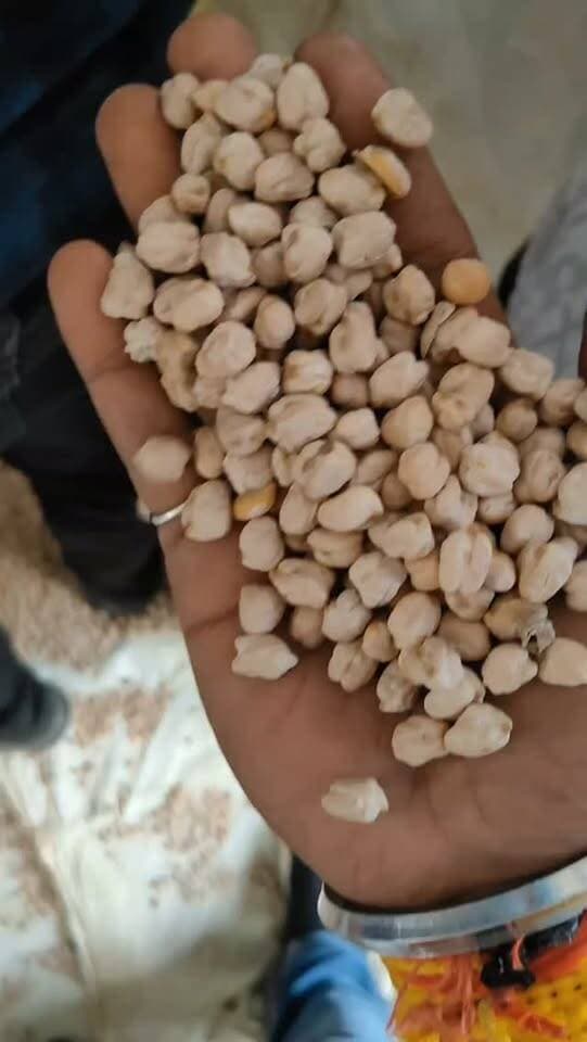 आज धामनोद मंडी में डॉलर चना का भाव इस प्रकार रहा, आज डॉलर चना के अच्छे माल की आवक ज्यादा...
ऊपर में 8640 तक बिका, 8100 के 2 वाहन, 7800 के आसपास कुछ वाहन बीके...
21 सितंबर 2026
Dhamnod Mandi Bhav
.
.
.
.
.
.
.
.
.
.
.
.
.
.
.
#dhamnodmandibhav #dollarchanarates #dollarchanamandi #dollarchanamandibhav #mandinews