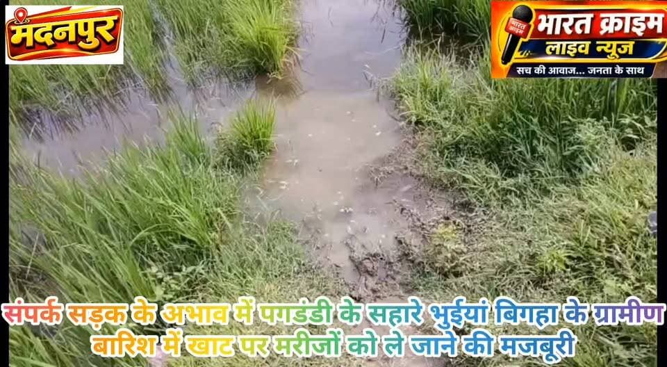 संपर्क सड़क के अभाव में पगडंडी के सहारे भुईयां बिगहा के ग्रामीण, बारिश में खाट पर मरीजों को ले जाने की मजबूरी
#BharatCrimeLiveNews #मदनपुर #औरंगाबाद #भुईयां_बिगहा #नगमतिया #बनिया_पंचायत #महादलित_गांव #संपर्क_सड़क #ग्रामीण_समस्या #सड़क_की_मांग #विकास_से_वंचित #जनसमस्या #BiharNews #AurangabadNews
