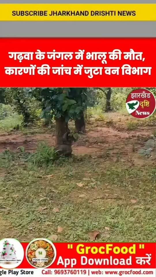 गढ़वा के जंगल में भालू की मौत, कारणों की जांच में जुटा वन विभाग