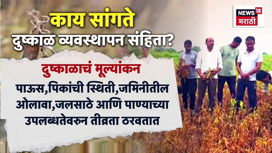 Marathwada मध्ये दुष्काळी परिस्थिती, शेतकरी हतबल, दुष्काळ लागू करण्याची प्रक्रिया?
