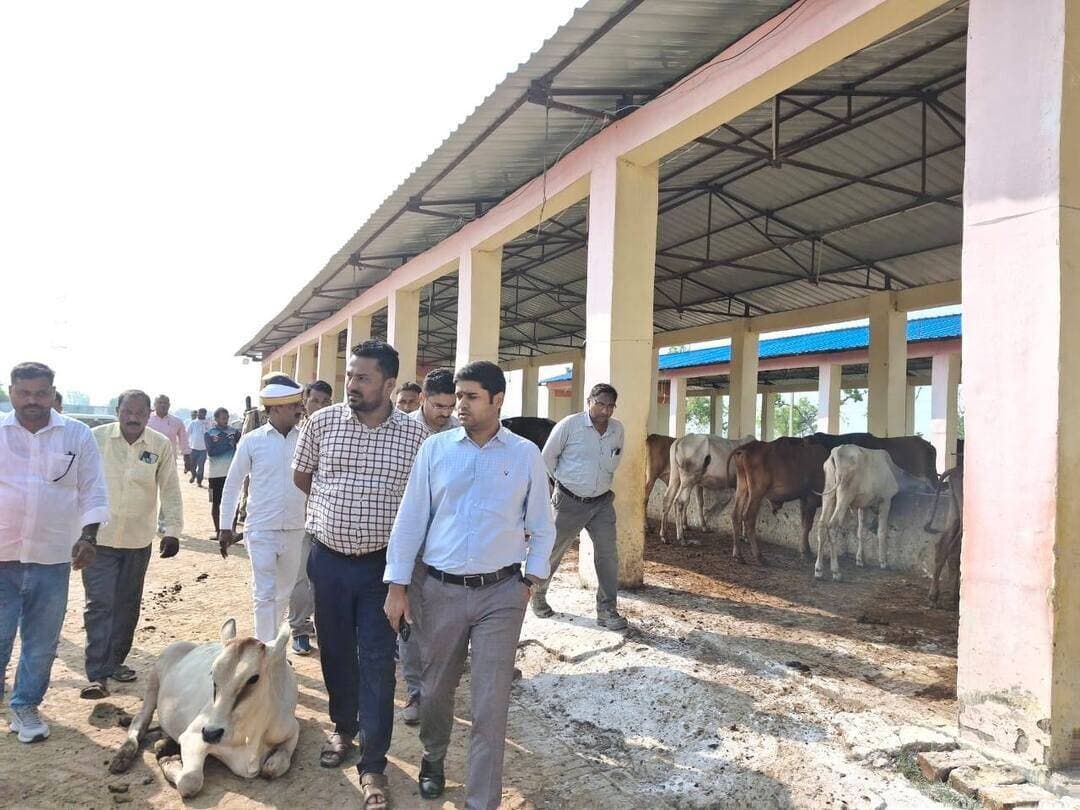 डीएम ने कुड़वां गो आश्रय स्थल का किया आकस्मिक निरीक्षण, खामियों पर जताई नाराजगी
मऊ के वृहद गो आश्रय स्थल कुड़वां का जिलाधिकारी आनंद वर्द्धन ने आकस्मिक निरीक्षण किया। निरीक्षण के दौरान गो आश्रय स्थल में साफ-सफाई और प्रबंधन की व्यवस्था खराब मिलने पर जिलाधिकारी ने कड़ी नाराजगी जताई और तत्काल व्यवस्थाओं में सुधार के निर्देश दिए।
भूसा और चारा स्टॉक पंजिका में उपलब्ध स्टॉक का समुचित अंकन नहीं पाए जाने पर जिलाधिकारी ने खंड विकास अधिकारी, डिप्टी सीवीओ और संबंधित सेक्रेटरी को कारण बताओ नोटिस जारी करने के निर्देश दिए। वहीं, कई पशुओं की ईयर टैगिंग नहीं मिलने पर सभी पशुओं की शत-प्रतिशत ईयर टैगिंग तत्काल कराने को कहा।
जिलाधिकारी ने कार्यदायी एनजीओ की कार्यप्रणाली पर भी नाराजगी जताते हुए नियमानुसार कार्रवाई के निर्देश दिए। उन्होंने गो आश्रय स्थल पर पर्याप्त भूसा, चारा और स्वच्छ पेयजल की व्यवस्था के साथ नियमित साफ-सफाई, पशुओं का चिकित्सकीय परीक्षण और बीमार पशुओं के समुचित उपचार के निर्देश दिए। साथ ही चेतावनी दी कि व्यवस्थाओं में सुधार नहीं होने पर संबंधित अधिकारियों के खिलाफ और कड़ी कार्रवाई की जाएगी।