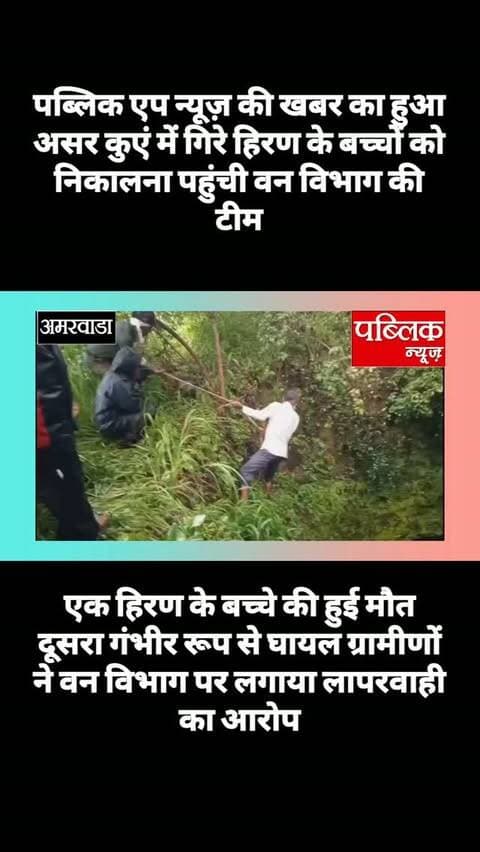 सिंगोड़ी के नवोदय विद्यालय के पीछे कुएं में हिरण के बच्चों को निकालना पहुंची वन विभाग की टीम एक हिरण के बच्चे की मौत दूसरा गंभीर रूप से घायल पब्लिक न्यूज़ की खबर का हुआ सर ग्रामीणों ने लगाया वन विभाग पर लापरवाही का आरोप
#amarwaracity #madhyapradesh #explorepage✨ #viralreelsシ #instagramindia