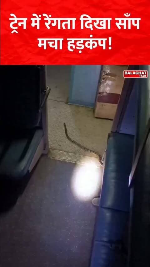 ट्रेन में रेंगता दिखा साँप मचा हड़कंप
#train #snake #hadkamp #balaghattalk