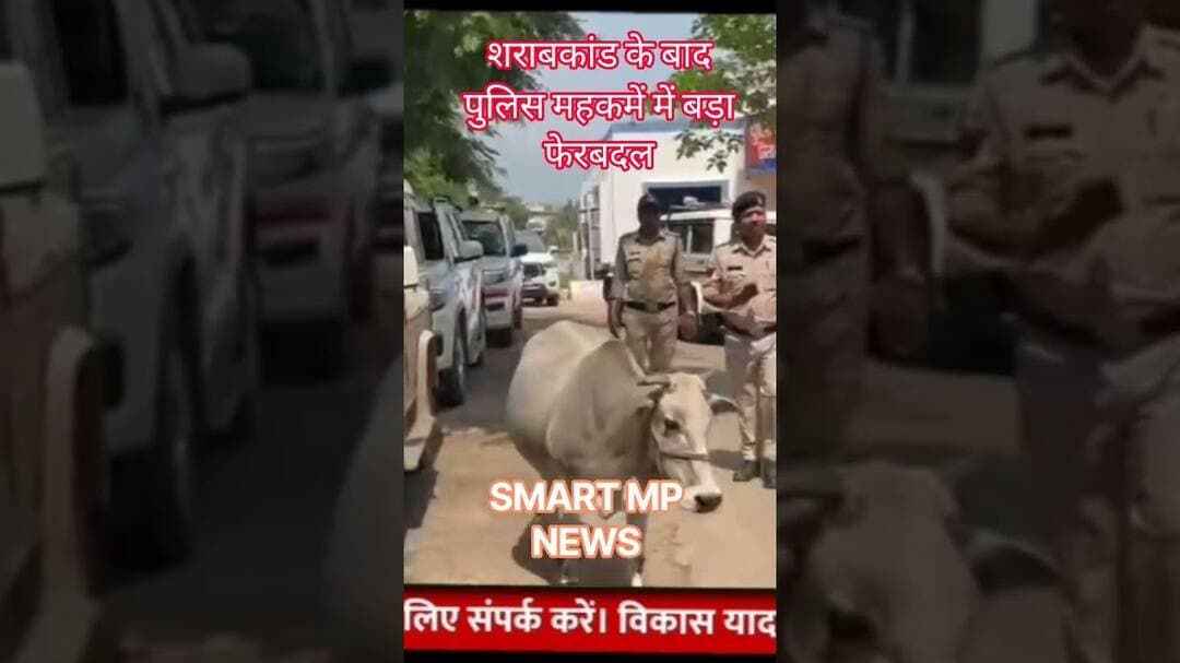 पुलिस महकमें में बड़ा फेरबदल #sagar #smartmpnews #news #shorts