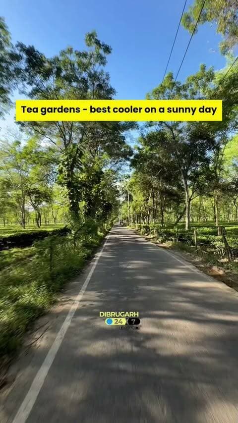 #Dibrugarh | Can you guess this location?