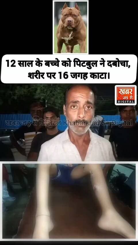 फरीदाबाद (खबर) 12 साल का बच्चा हुआ पिट*बुल का शिकार, बच्चे को 16 जगह काटा।
#हरियाणा #फरीदाबाद #पिटबुलहमला
#Haryana #Faridabad PitbullAttack
खबर जड़ से KHABAR JAD SE