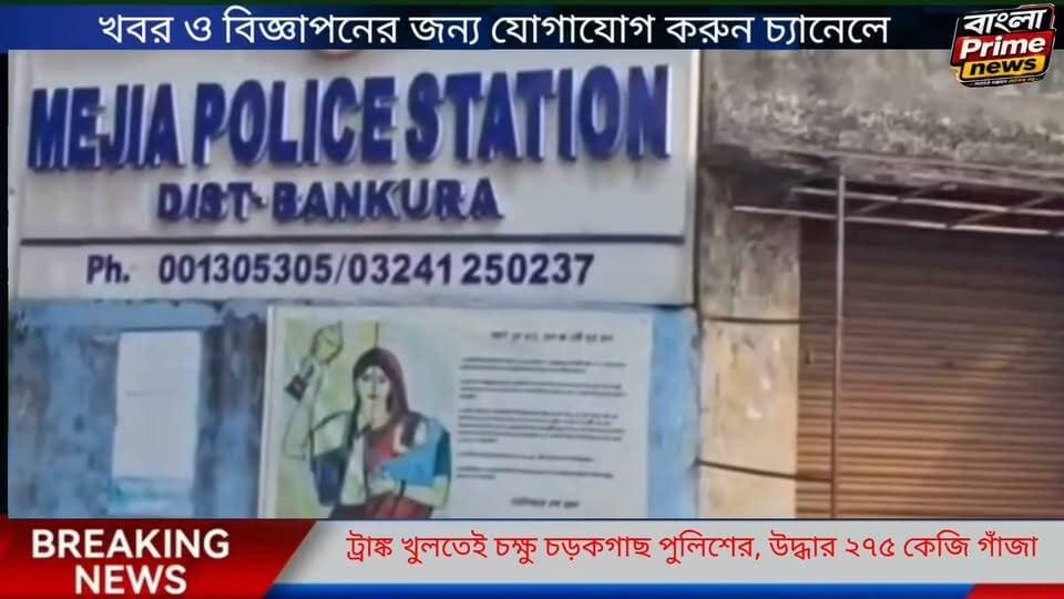 মেজিয়ায় বাড়িতে তল্লাশি চালাতেই ট্রাঙ্কভর্তি গাঁজার হদিশ,উদ্ধার ২৭৫ কেজি গাঁজা ও নগদ ৭ লক্ষ টাকা, গ্রেফতার বাড়ির মালিক।