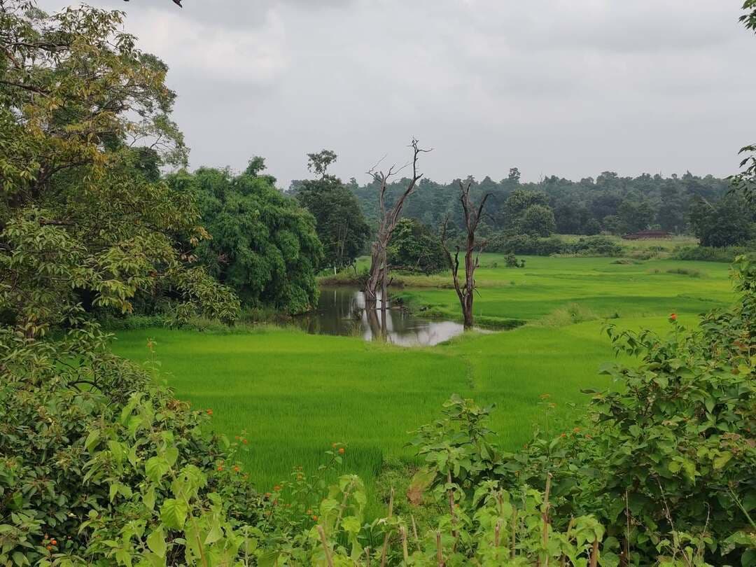 30 लाख इनामी गोपाल सिंह भोक्ता के गाँव का तस्वीर #chatra #news #सरदार #सिंह