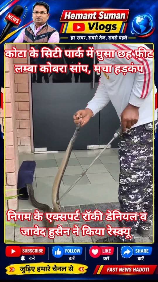 कोटा के सिटी पार्क में घुसा छह फ़ीट लम्बा कोबरा सांप, मचा हड़कंप
निगम के रेस्क्यू एक्सपर्ट रॉकी डेनियल व जावेद हुसैन ने किया रेस्क्यू
सुरक्षित वन्य क्षेत्र में छोड़ा