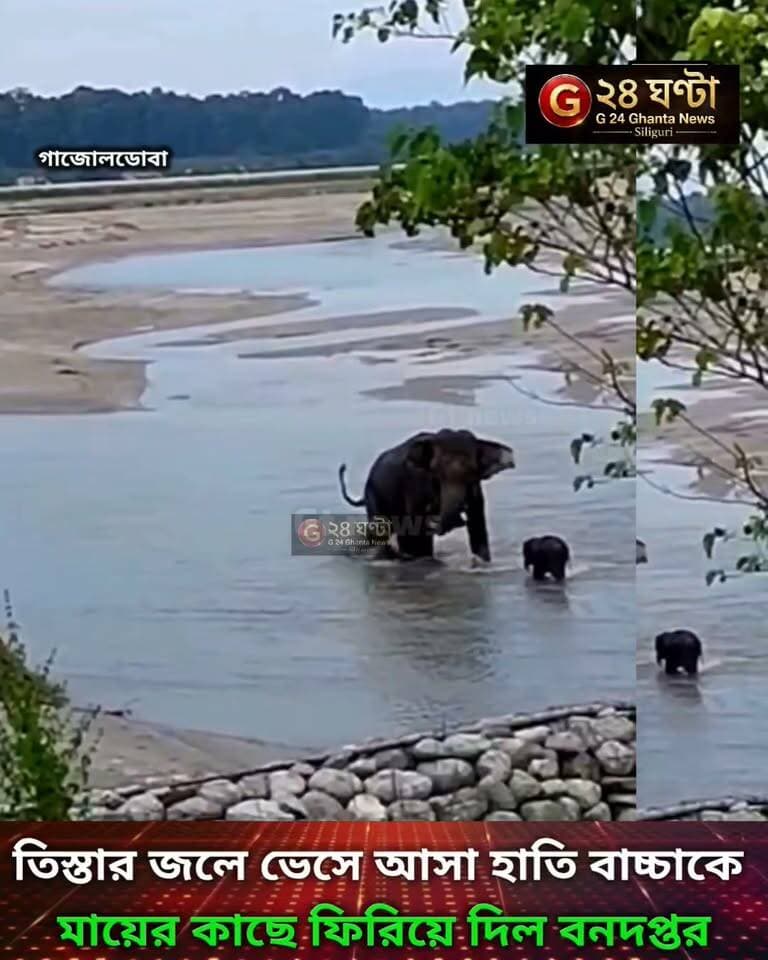 মায়ের সাথে হারানো সন্তানের মিলন হলো দীর্ঘ চেষ্টায়